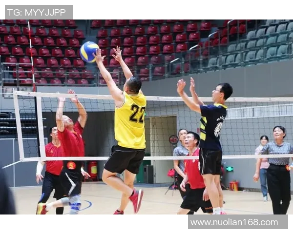 权威发布：排球团队协作实力榜单