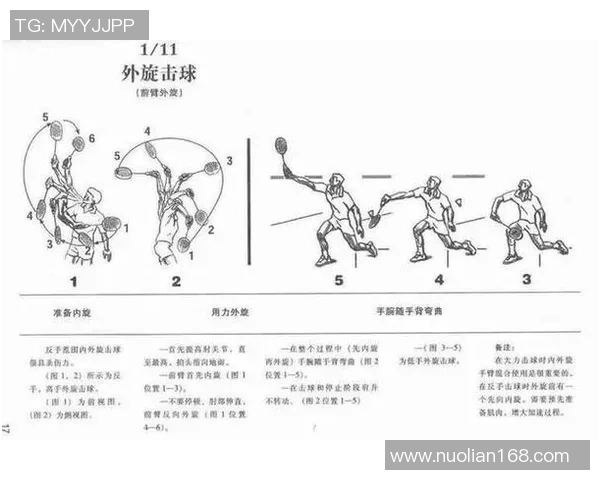专业解读:成都羽毛球队的区域防守打法 专业解读:成都羽毛球队的区域防守打法